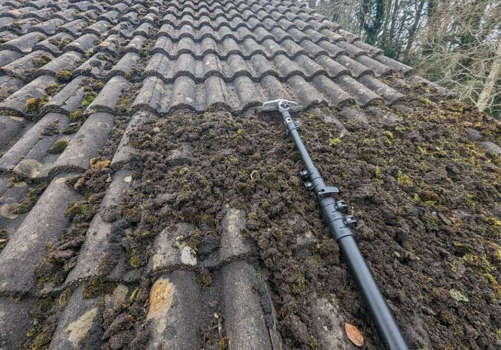 roof cleaners in linlithgow