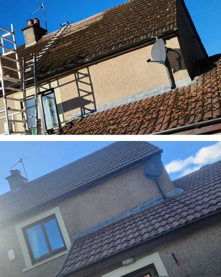 Edinburgh steam cleaning roofs
